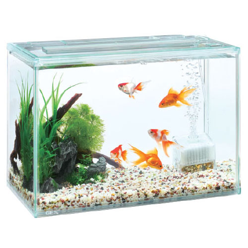 金魚元気ぶくぶくクリア400