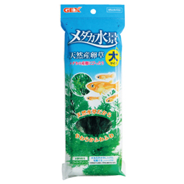 ジェックス　メダカ水景　天然産卵草