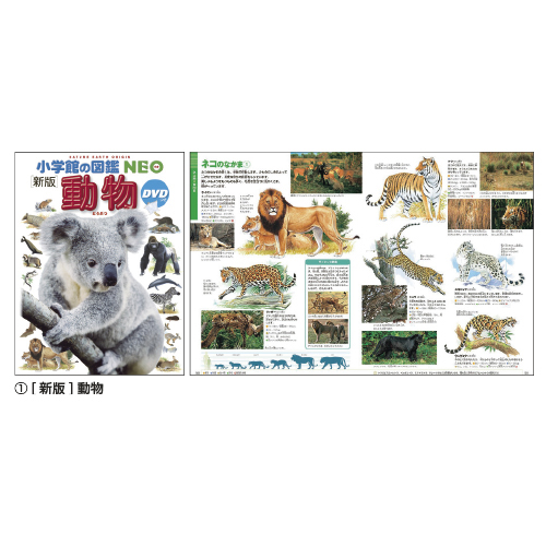 小学館の図鑑NEO