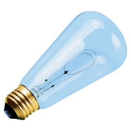 中村理科工業　エジソン電球