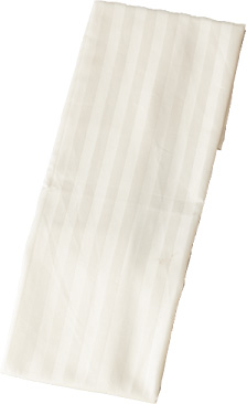 防ダニ・抗菌防臭ピロケース　パールホワイト・無地