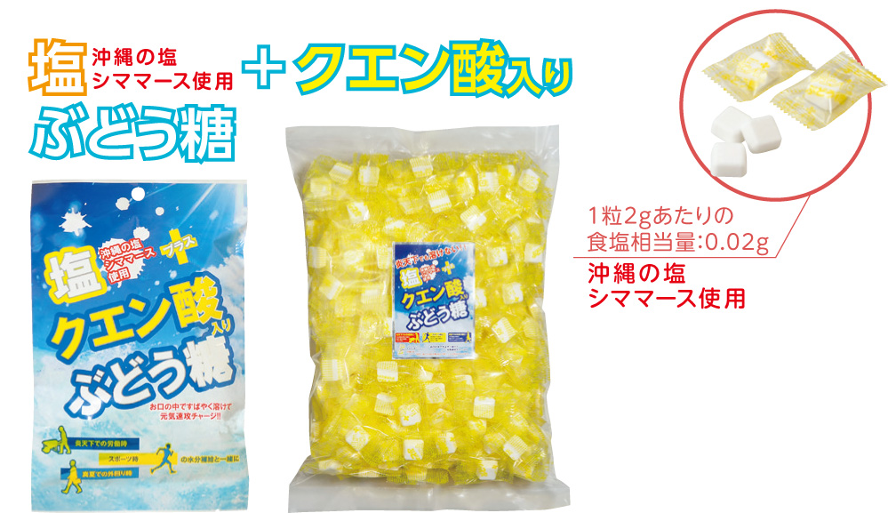 塩クエン酸ぶどう糖　20粒入り×10袋