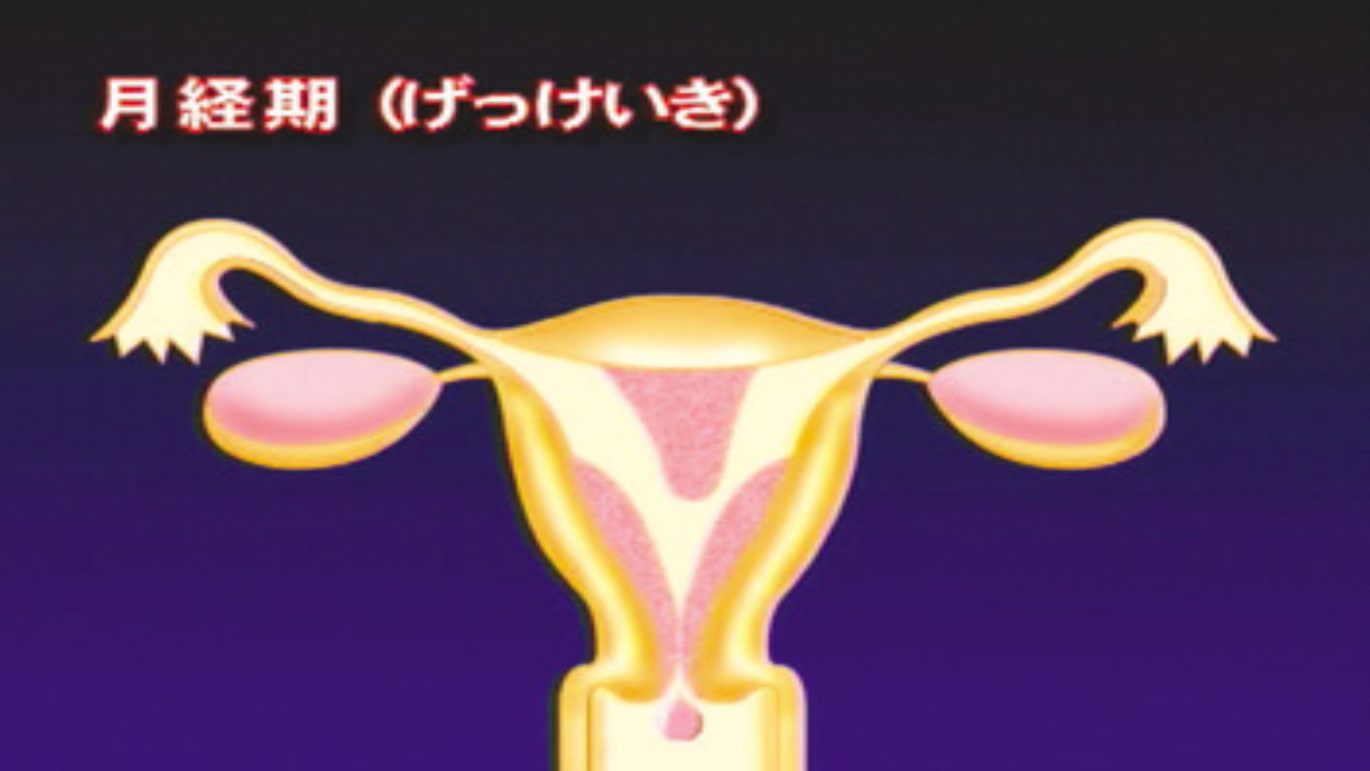 DVD 心と身体の健康シリーズ 第2巻 思春期を学ぶ（性教育）