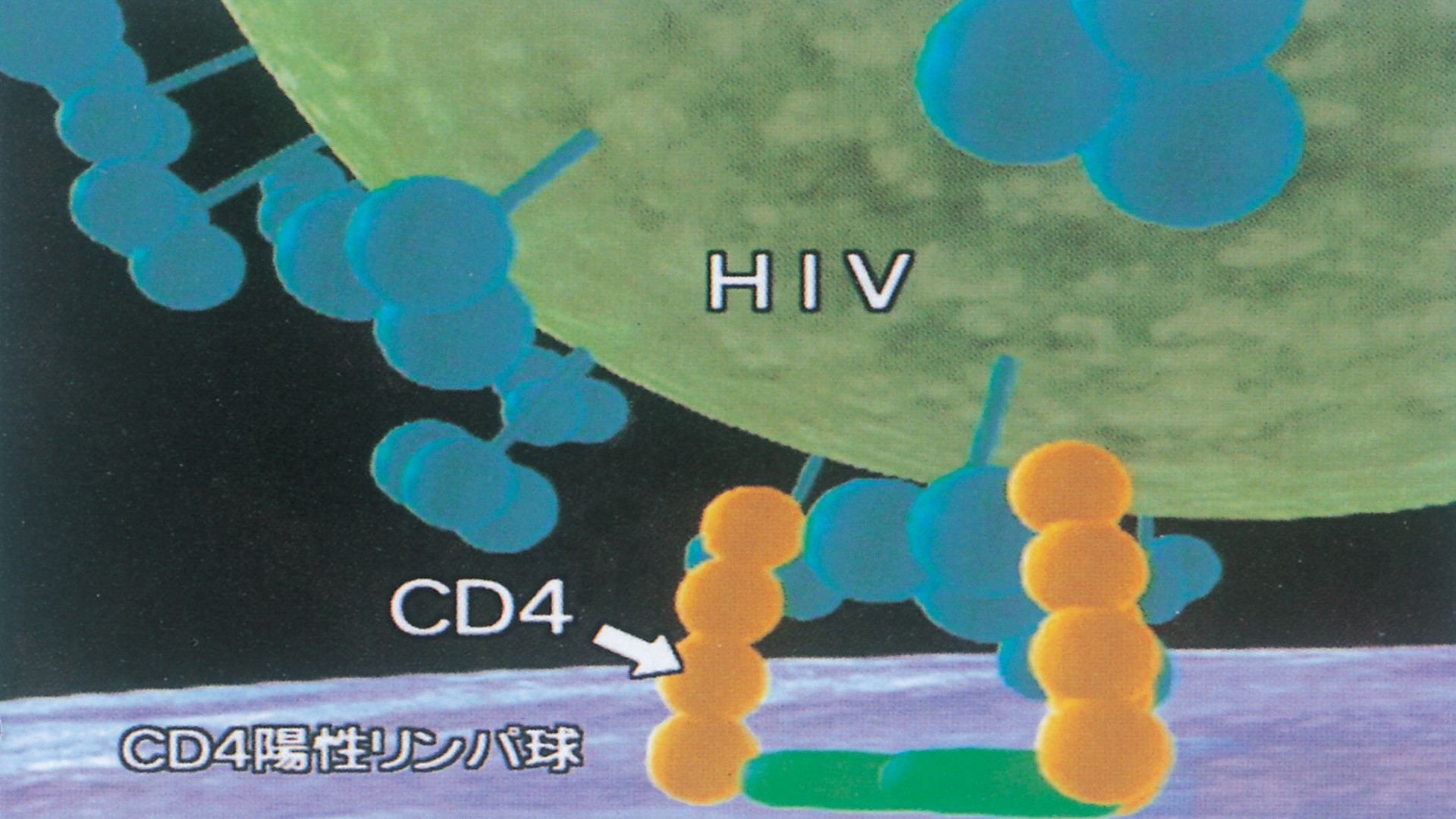 DVD エイズストップのために