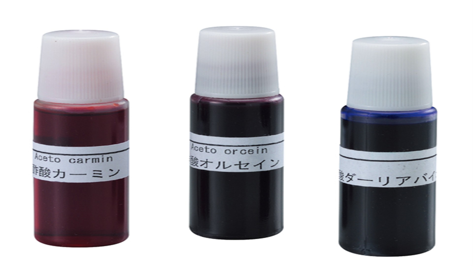 点眼瓶入り染色液　6本組　10ml 酢酸カーミン