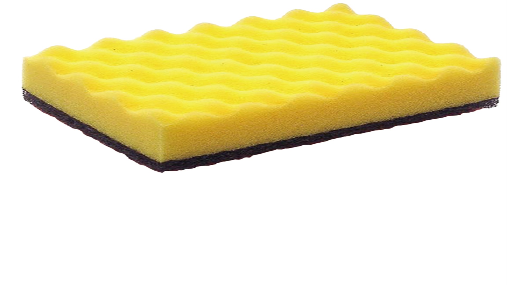 フジタワシS　1個