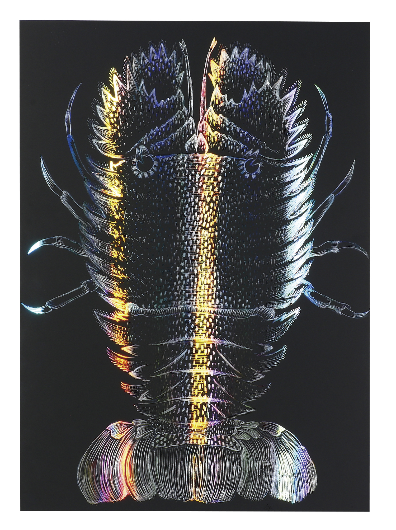 ホログラムスクラッチボードⅡ　１９０×２６５ｍｍ