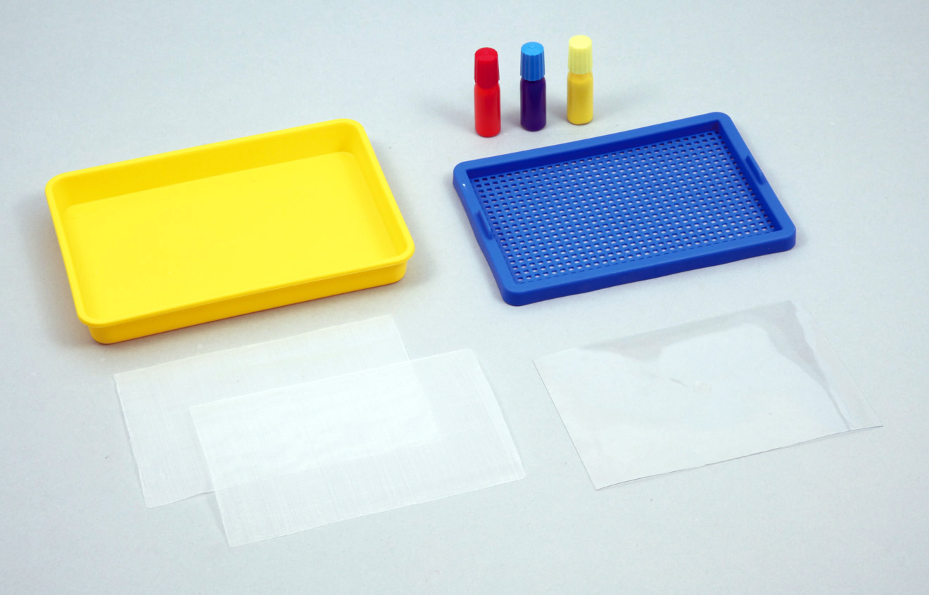 紙すきセット　染め絵の具3色付