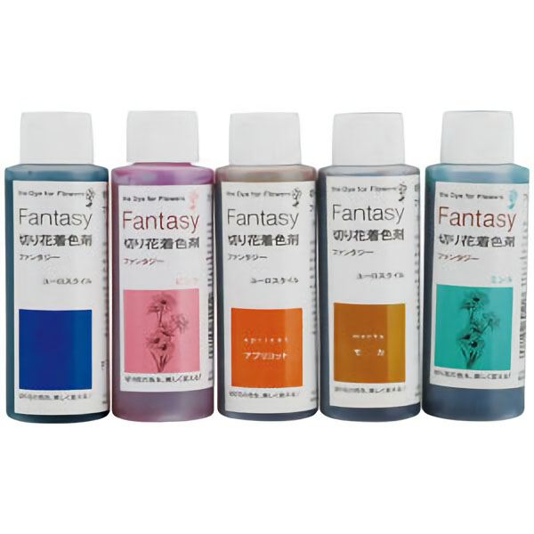 道管染色液ファンタジー１００ｍｌ　５色セット