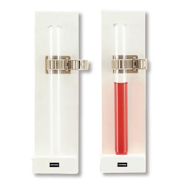 黒板用試験管ホルダー２個組　ＤＭ－２１Ｗ　白色