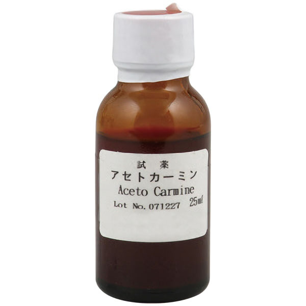 染色液　アセトカーミン液（酢酸カーミン液）　２５ｍｌ