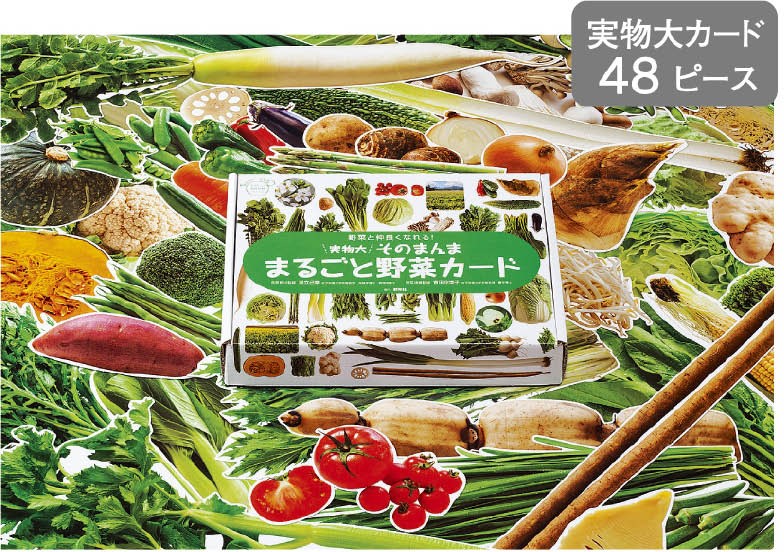 実物大・そのまんま　まるごと野菜カード