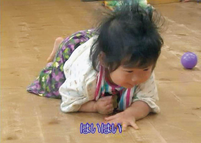 DVD　幼児の一日　幼児の発達の姿